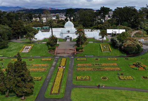 Golden Gate Park's 150th Anniversary Celebration Goes Virtual | KQED