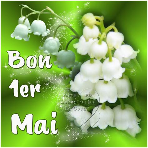 23 Images et photos avec tag Muguet - BonnesImages