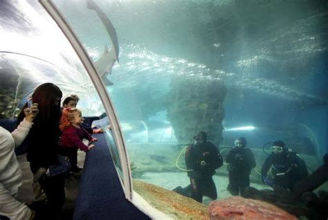 Greater Cleveland Aquarium to add new exhibit, drop admission prices ...