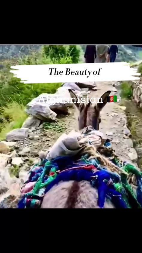 Beauty : r/afghanistan