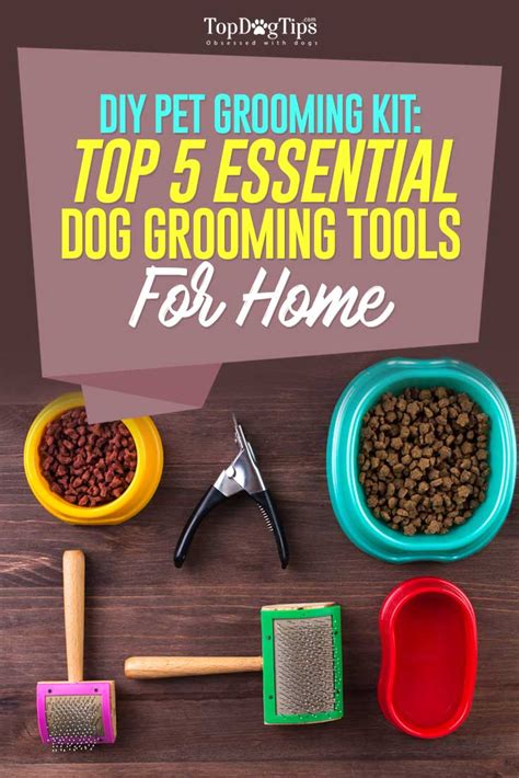 Top 5 Best Grooming Tools for Dogs for a DIY Dog Grooming Kit