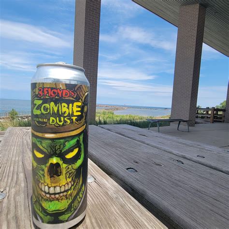 Indiana Dunes National Park ~ Zombie Dust : r/beerwithaview