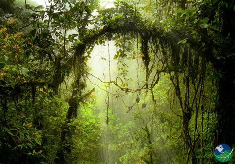 Monteverde Costa Rica - Cloud Forest Biological Reserve