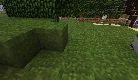 Which texture pack makes grass on side? - Rankiing Wiki : Facts, Films, Séries, Animes Streaming ...