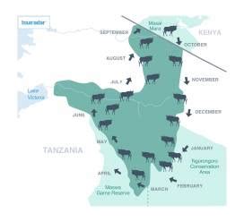 Wildebeest Migration in Africa 2022 (incl. Migration Map) - TourRadar