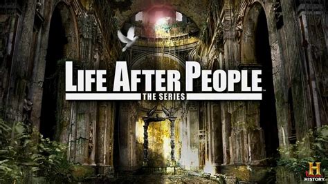 HARMLESS THOUGHTS: Netflix Pick of the Week: Life After People