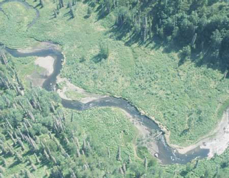 NAWQA Cook Inlet Basin Study Unit - Site Details