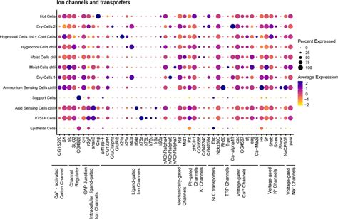 Ion Channels. Dot plot showing expression of selected ion channels ...