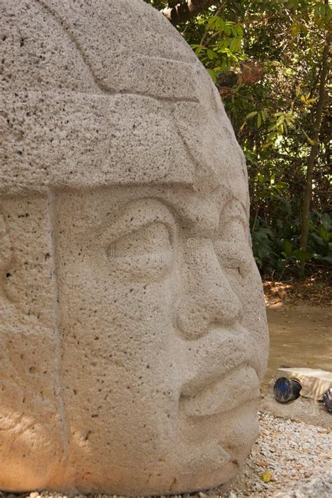 Olmec a Culture La Venta Villahermosa Tabasco Mexico Archaeology Stock ...