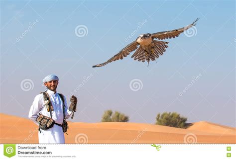 Falcon Male Indian Senior Handler In Arabic National Clothes With Hooded Falcon On His Hand ...