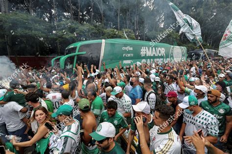 FANS BRAZILIAN SOCCER CLUB PALMEIRAS CHEER Editorial Stock Photo ...