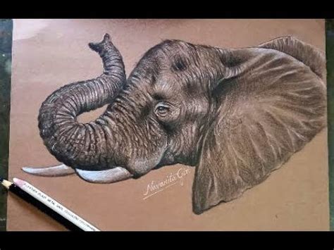 Elephant Side View Head Drawing