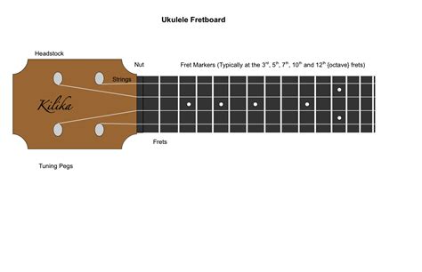 Ukulele Notes On Fretboard