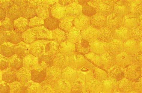 Honeycomb Close Up - Stock Photo - Dissolve