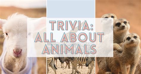 120 Fun Animal Trivia Questions and Answers - Land of Trivia