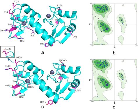 Tertiary structure of HPV-16 E6 comparing reference to the variant ...