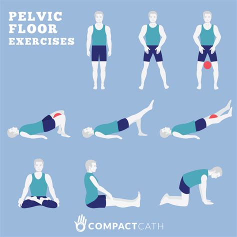 Urinary Incontinence_Pelvic exercise - CompactCath