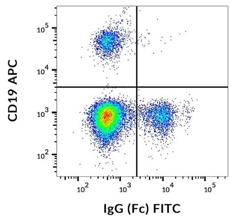 FITC Anti-Human IgG FC fragment antibody [EM-07] (ab239228) | Abcam