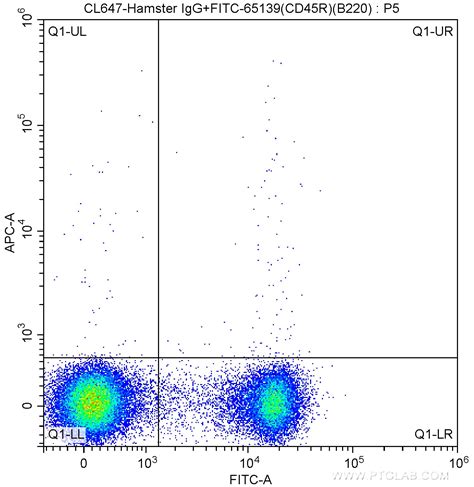 CD11c antibody (CL647-65130) | Proteintech