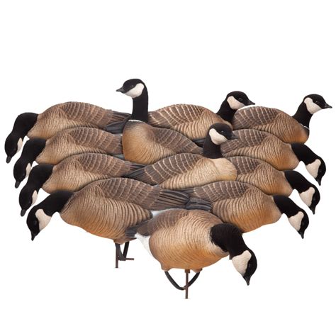 Goose Decoys – Dave Smith Decoys