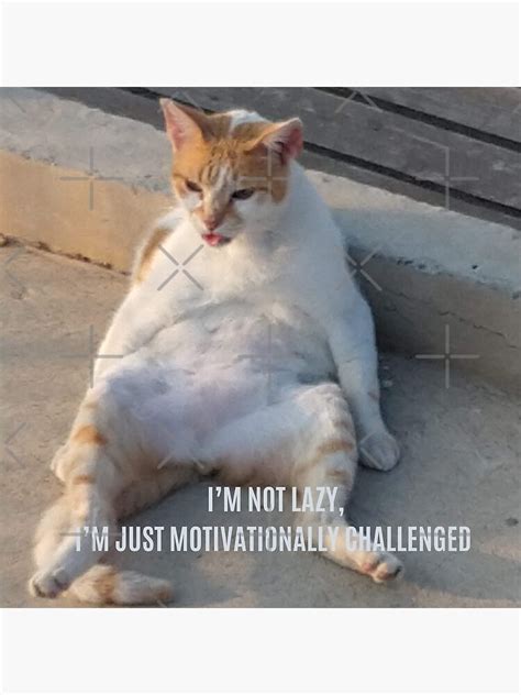 "I’m Not Lazy, I’m Just Motivationally Challenged, Funny Cat Meme, Funny Fat Lazy Cat, Lazy Cat ...