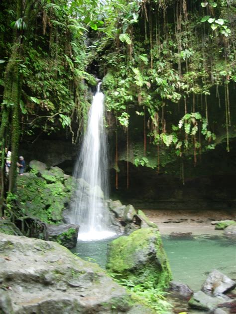 Waterfall on Dominica | Beautiful places, Waterfall, Places ive been