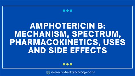 Amphotericin B: mechanism, spectrum, pharmacokinetics