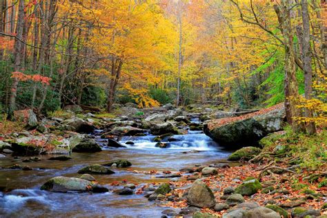 Follow Falling Leaves to the Best Places to Visit In October | Select Registry