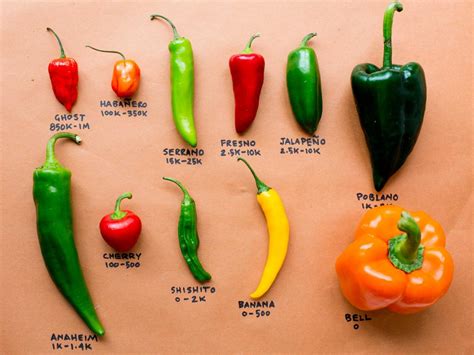 From the Competition to Your Kitchen: Chile Pepper Cheat Sheet | Food ...