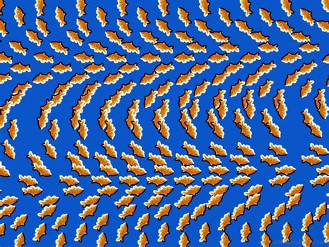 50 Nice Stereogram Illusion