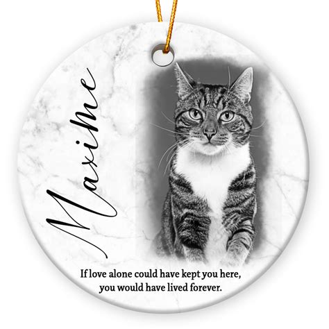 Cat Memorial Ornament Personalized Christmas Sympathy Gift For Cat ...