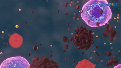 Animation immune system - MedicalGraphics