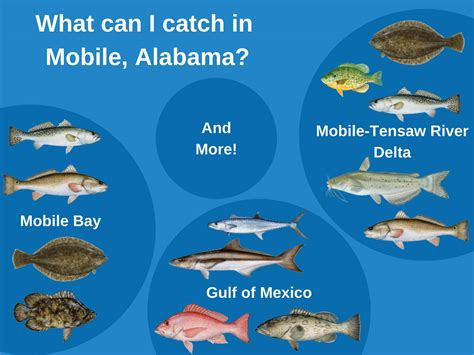 Fishing in Mobile, Alabama: All You Need to Know