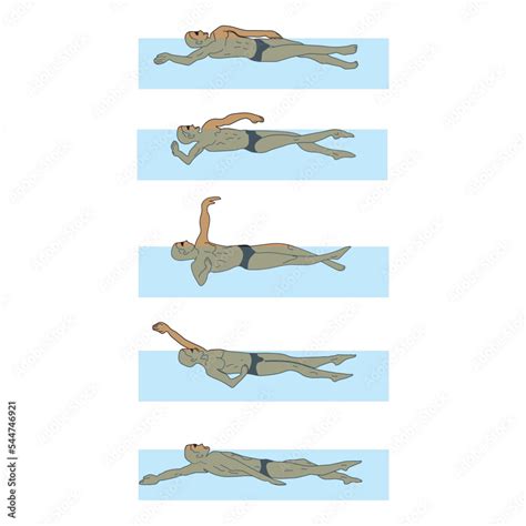 Arm stroke phases in backstroke, Swim Backstroke diagram, learn to swim on the back. Vector ...