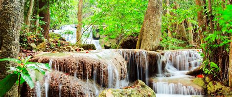 Waterfall in Forest 4K wallpaper download