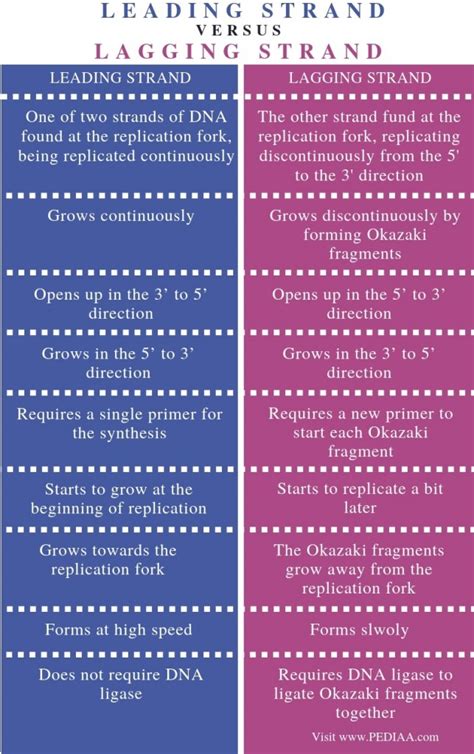 What is the Difference Between Leading and Lagging Strand - Pediaa.Com