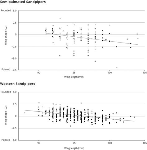 Relationship between wing shape (principal component C2) and wing ...