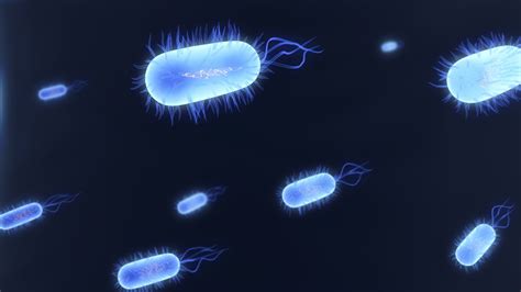 Microorganisms Wallpapers - Wallpaper Cave