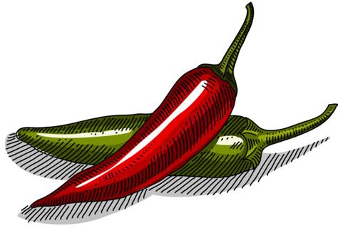 Royalty Free Red Chilli Clip Art, Vector Images & Illustrations - iStock