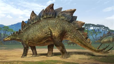 Stegosaurus | Massive Iconic Dinosaur | plates and Thagomizer - YouTube