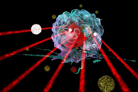 Cancer Therapy: Gold Nanoparticles In Cancer Therapy