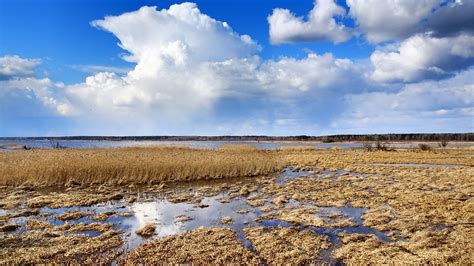 Windy landscape | Windy landscape, Turawa lake (Jezioro Tura… | Flickr