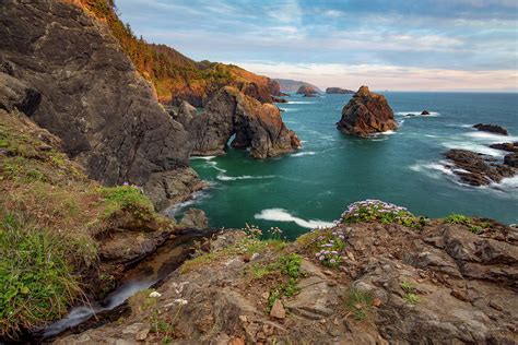 Oregon Coastal Scenic Photograph by Leland D Howard