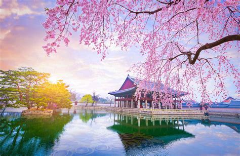 The 8 Most Famous South Korea Landmarks | Bunnik Tours