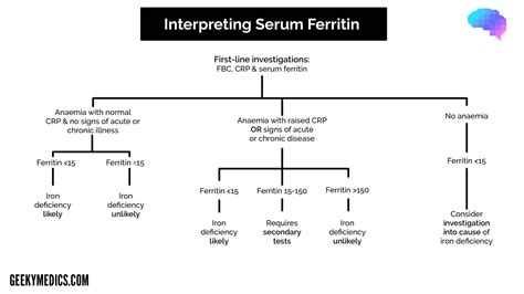 iron deficiency anemia labs - Mistery Metro