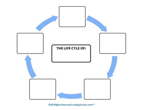 Graphic Organizers: Printable Life Cycle Chart | Graphic organizers ...