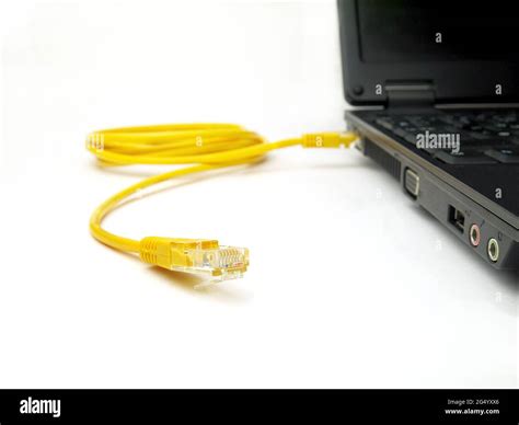 yellow twisted pair ethernet network cable connected to laptop, closeup ...