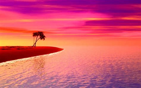 🔥 [70+] Pink Sunset Wallpapers | WallpaperSafari