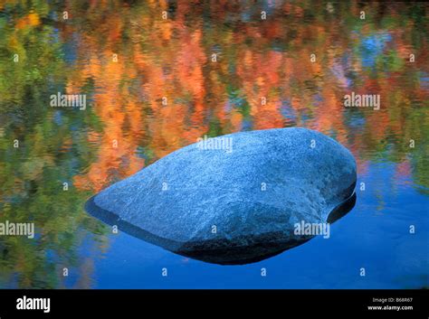 Granite boulder in pond reflecting New England Fall colors White Mountain National Forest New ...