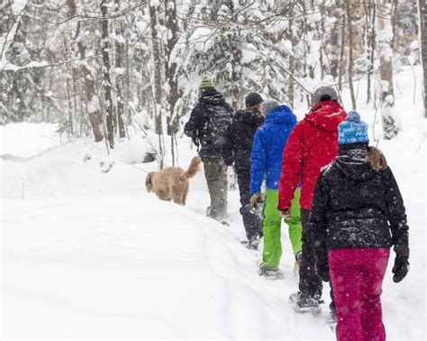 Muskoka Resorts Winter - Cedar Grove Lodge Cottage Rentals